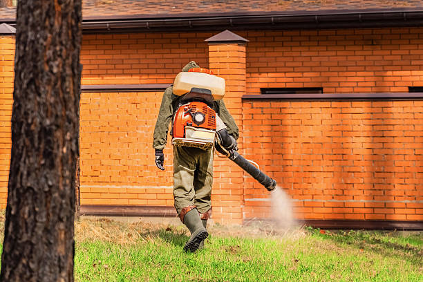 Bed Bug Clearance Verification and Documentation in New Lisbon